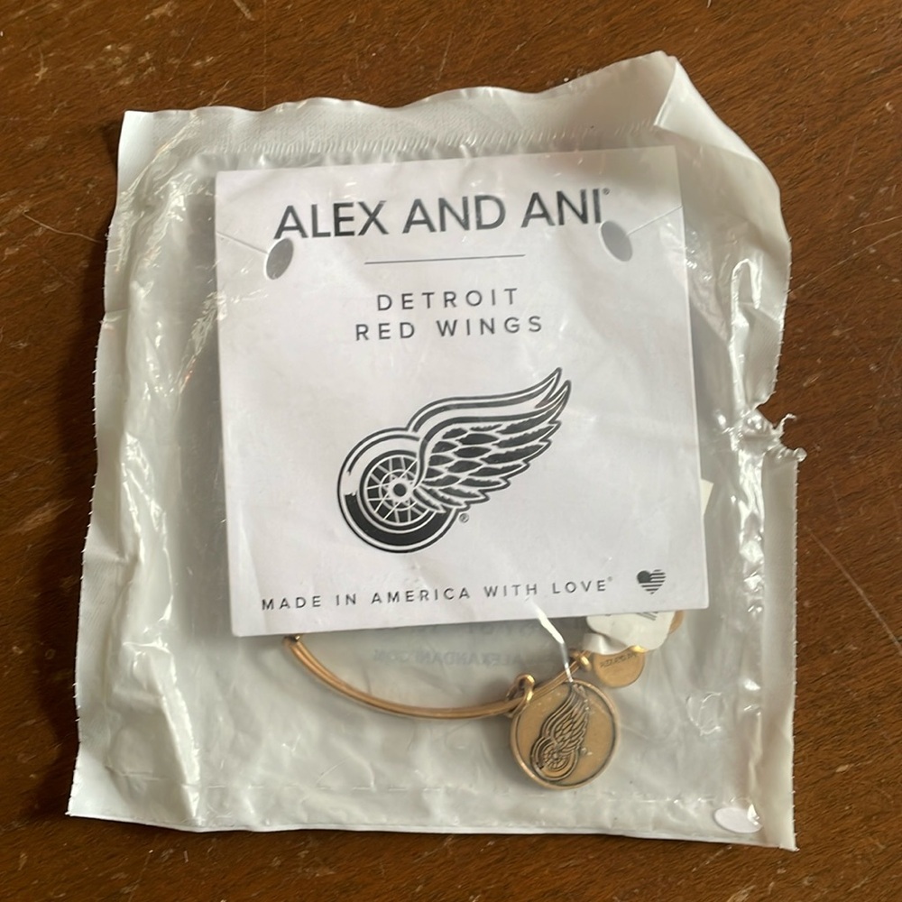 Alex and Ani Detroit Red Wings charm bracelet
